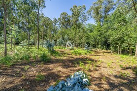 Terreno R�stico - Lij�, Barcelos, Braga - Miniatura: 25/25