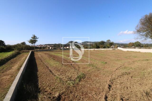 Terreno R�stico - Antas, Esposende, Braga - Imagem grande