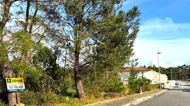 Terreno R�stico - Balazar, P�voa de Varzim, Porto - Imagem grande