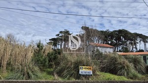 Terreno Rstico T0 - Apulia, Esposende, Braga - Miniatura: 7/9
