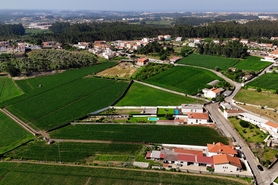 Terreno R�stico - Rio Mau, Vila do Conde, Porto - Miniatura: 11/23