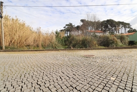 Terreno R�stico - Apulia, Esposende, Braga - Miniatura: 9/9