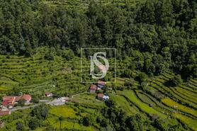 Moradia T2 - Carvalheira, Terras de Bouro, Braga - Miniatura: 24/25