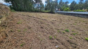 Terreno R�stico - Areias, Barcelos, Braga - Miniatura: 8/11