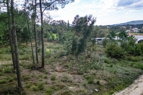 Terreno R�stico - Ucha, Barcelos, Braga - Miniatura: 20/22