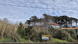 Terreno R�stico - Apulia, Esposende, Braga - Miniatura: 2/9