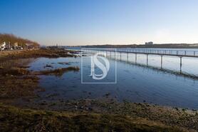 Moradia - Esposende, Esposende, Braga - Miniatura: 13/13