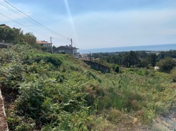 Terreno R�stico - Esposende, Esposende, Braga - Miniatura: 1/11