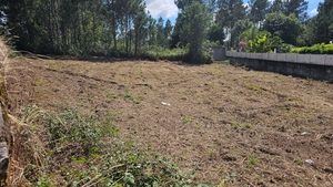 Terreno R�stico - Areias, Barcelos, Braga - Miniatura: 10/11