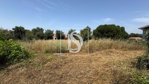 Moradia T2 - Turquel, Alcobaa, Leiria - Miniatura: 13/15