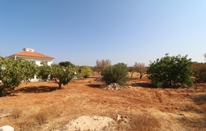 Moradia - Olhos de �gua, Albufeira, Faro (Algarve) - Miniatura: 24/32