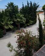 Moradia - Lagoa, Lagoa (Algarve), Faro (Algarve) - Miniatura: 5/50