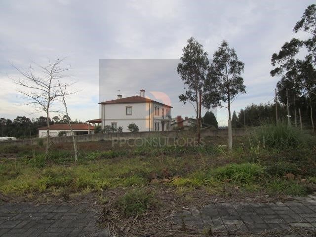 Terreno Rústico - Valongo do Vouga, Águeda, Aveiro - Imagem grande