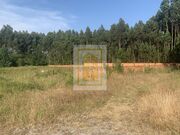 Terreno Rstico - Esgueira, Aveiro, Aveiro - Miniatura: 2/4