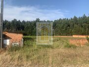 Terreno Rstico - Esgueira, Aveiro, Aveiro - Miniatura: 3/4