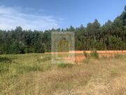 Terreno Rstico - Esgueira, Aveiro, Aveiro - Miniatura: 4/4