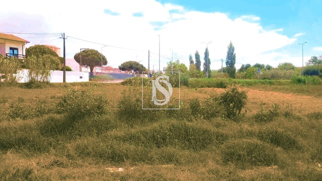 Terreno Rústico T0 - Tavarede, Figueira da Foz, Coimbra - Imagem grande