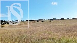 Terreno Rstico T0 - Maiorca, Figueira da Foz, Coimbra