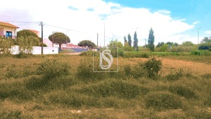 Terreno Rústico T0 - Tavarede, Figueira da Foz, Coimbra