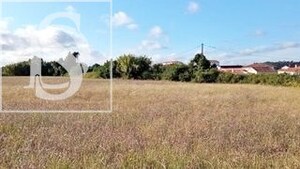 Terreno Rstico T0 - Maiorca, Figueira da Foz, Coimbra - Miniatura: 1/8