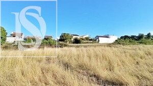 Terreno Rstico T0 - Maiorca, Figueira da Foz, Coimbra - Miniatura: 2/8