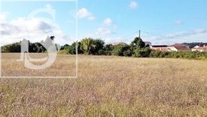 Terreno Rstico T0 - Maiorca, Figueira da Foz, Coimbra - Miniatura: 3/8