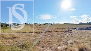 Terreno Rstico T0 - Maiorca, Figueira da Foz, Coimbra - Miniatura: 7/8