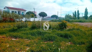 Terreno Rstico T0 - Tavarede, Figueira da Foz, Coimbra - Miniatura: 1/11