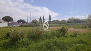 Terreno Rstico T0 - Tavarede, Figueira da Foz, Coimbra - Miniatura: 3/11