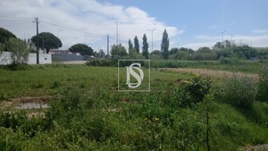 Terreno Rstico T0 - Tavarede, Figueira da Foz, Coimbra - Miniatura: 4/11
