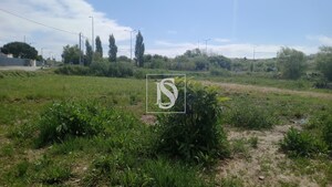 Terreno Rstico T0 - Tavarede, Figueira da Foz, Coimbra - Miniatura: 5/11