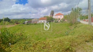 Terreno Rstico T0 - Tavarede, Figueira da Foz, Coimbra - Miniatura: 6/11
