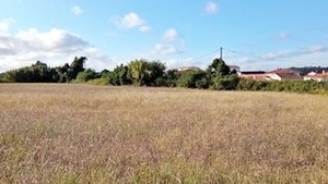 Terreno R�stico - Maiorca, Figueira da Foz, Coimbra - Miniatura: 2/8