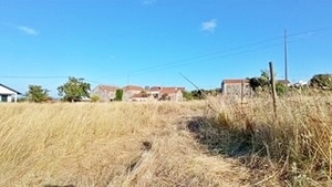 Terreno R�stico - Maiorca, Figueira da Foz, Coimbra - Miniatura: 4/8