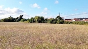 Terreno R�stico - Maiorca, Figueira da Foz, Coimbra - Miniatura: 5/8