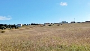 Terreno R�stico - Maiorca, Figueira da Foz, Coimbra - Miniatura: 7/8