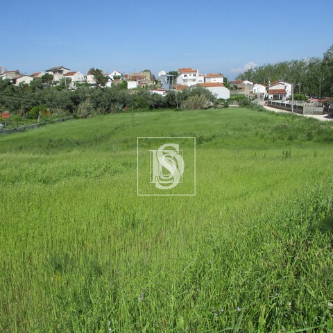 Terreno Rústico T0 - Maiorca, Figueira da Foz, Coimbra - Imagem grande