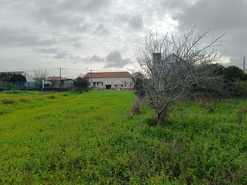 Terreno R�stico - Lavos, Figueira da Foz, Coimbra - Miniatura: 1/5