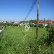 Terreno R�stico - Maiorca, Figueira da Foz, Coimbra - Miniatura: 2/7