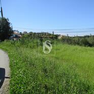 Terreno R�stico - Maiorca, Figueira da Foz, Coimbra - Miniatura: 4/7