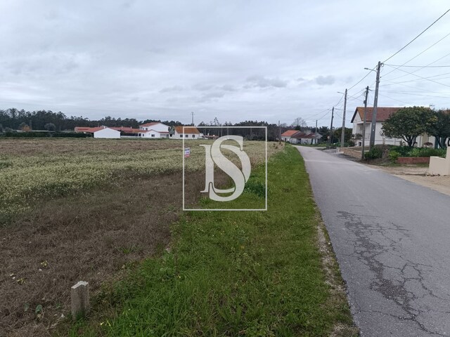 Terreno R�stico T0 - Louri�al, Pombal, Leiria - Imagem grande