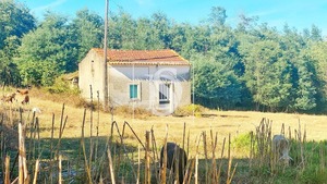 Moradia T1 - Carapinheira, Montemor-o-Velho, Coimbra - Miniatura: 2/12