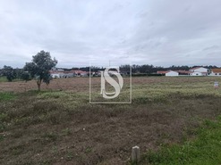 Terreno R�stico T0 - Louri�al, Pombal, Leiria - Miniatura: 1/5