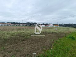 Terreno R�stico T0 - Louri�al, Pombal, Leiria - Miniatura: 2/5