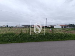 Terreno R�stico T0 - Louri�al, Pombal, Leiria - Miniatura: 3/5