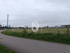 Terreno R�stico T0 - Louri�al, Pombal, Leiria - Miniatura: 4/5