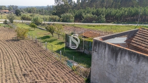 Moradia T3 - Alqueid�o, Figueira da Foz, Coimbra - Miniatura: 25/56