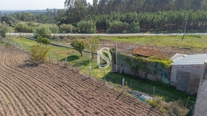 Moradia T3 - Alqueid�o, Figueira da Foz, Coimbra - Miniatura: 26/56