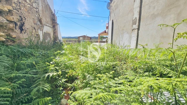 Terreno R�stico - Ereira, Montemor-o-Velho, Coimbra - Imagem grande