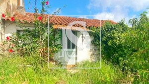 Moradia T3 - Carapinheira, Montemor-o-Velho, Coimbra - Miniatura: 4/20